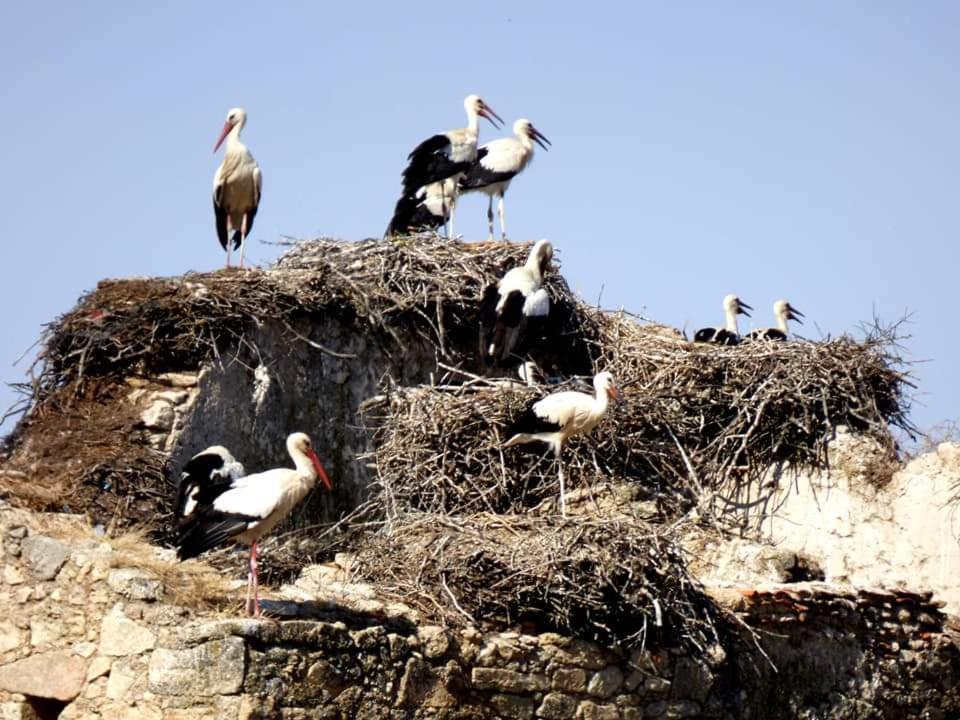 Casa Familiar La Lunara Caceres Bagian luar foto